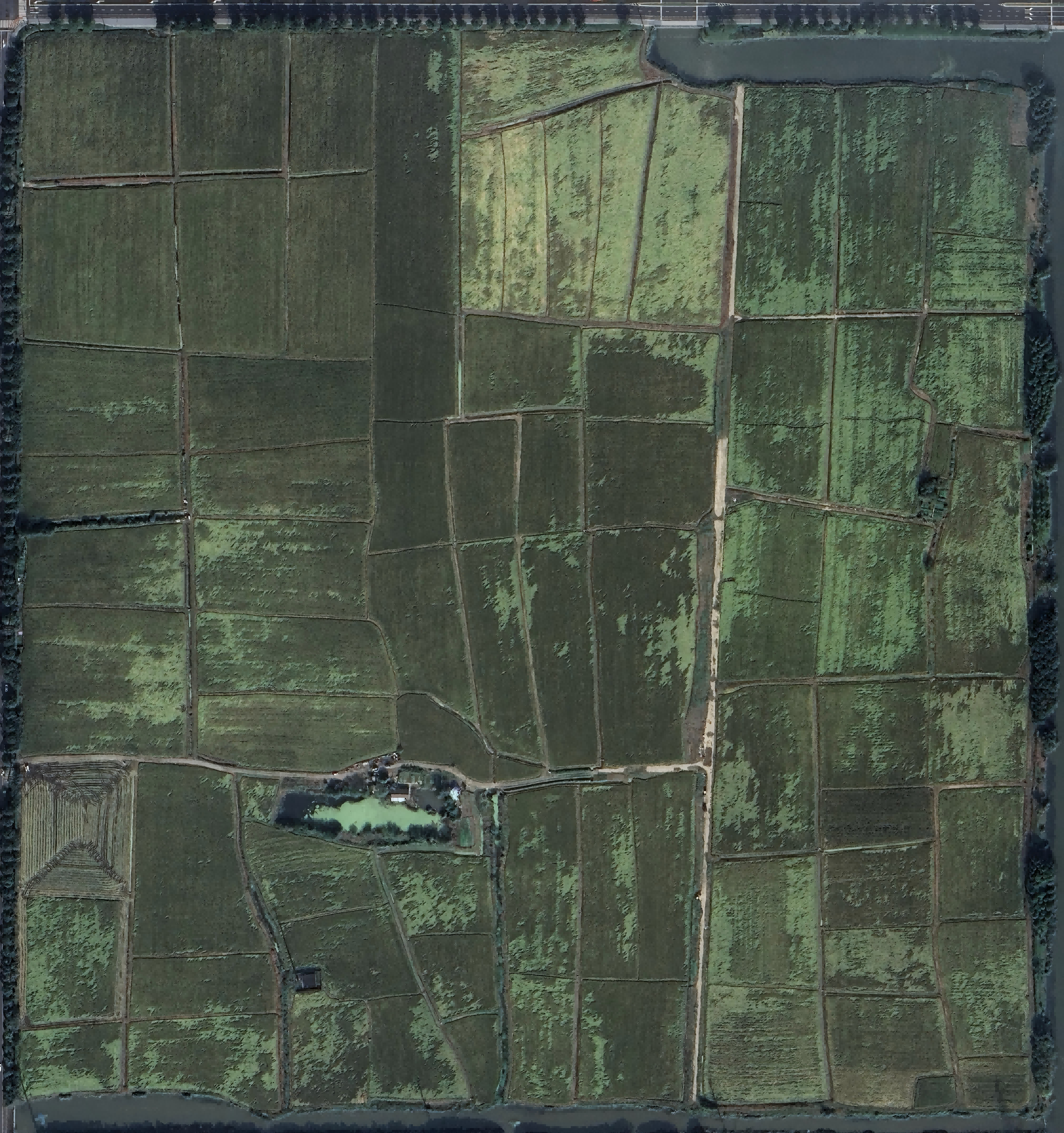 Before Field Recognition